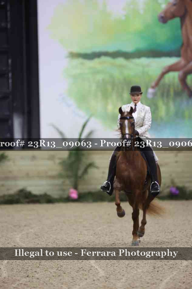 Proof 23R13_09063