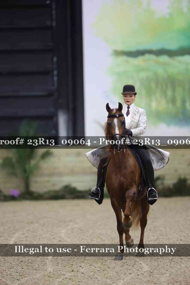 Proof 23R13_09064