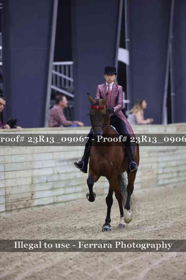 Proof 23R13_09067
