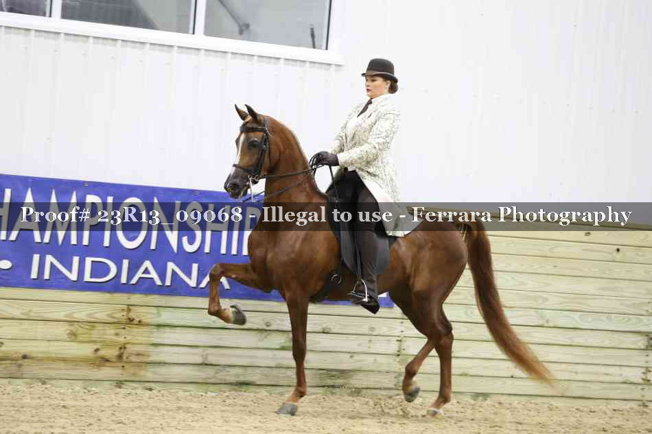Proof 23R13_09068