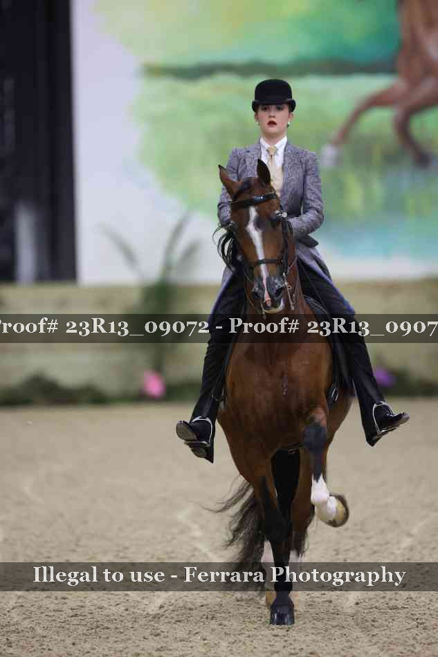 Proof 23R13_09072