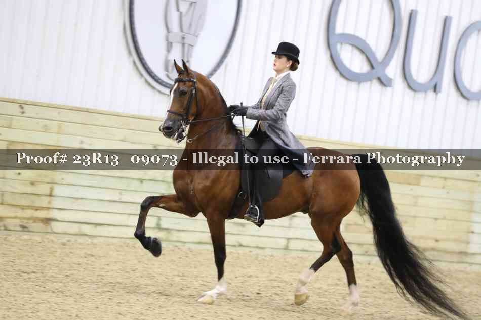 Proof 23R13_09073