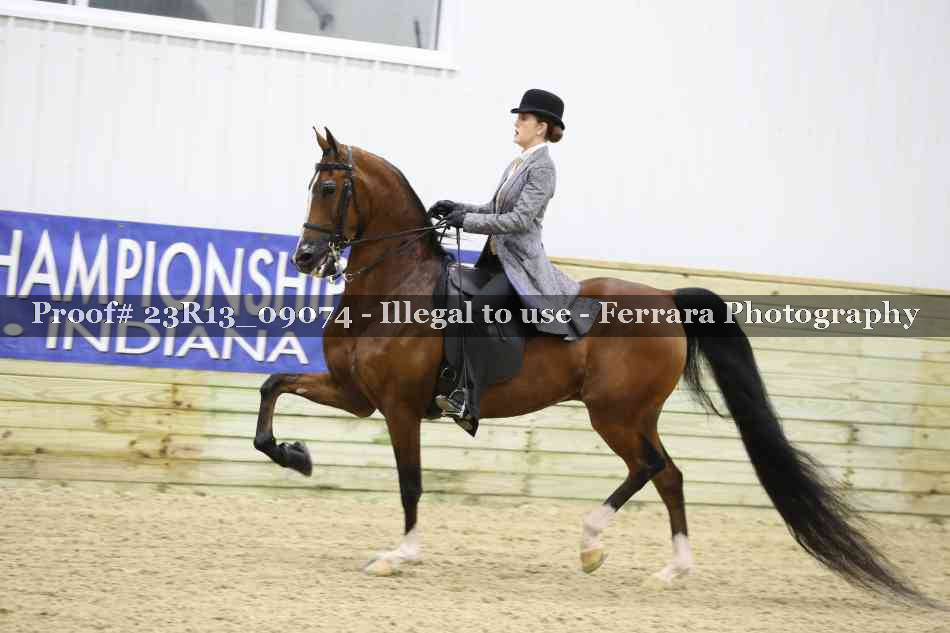 Proof 23R13_09074