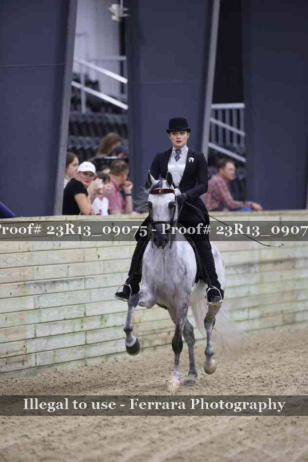 Proof 23R13_09075