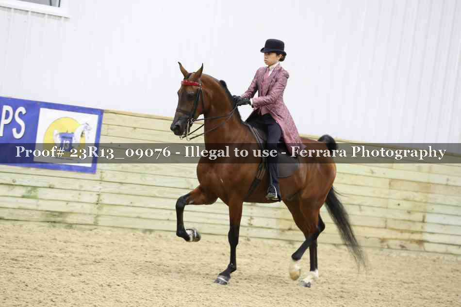 Proof 23R13_09076