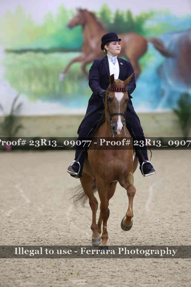 Proof 23R13_09077
