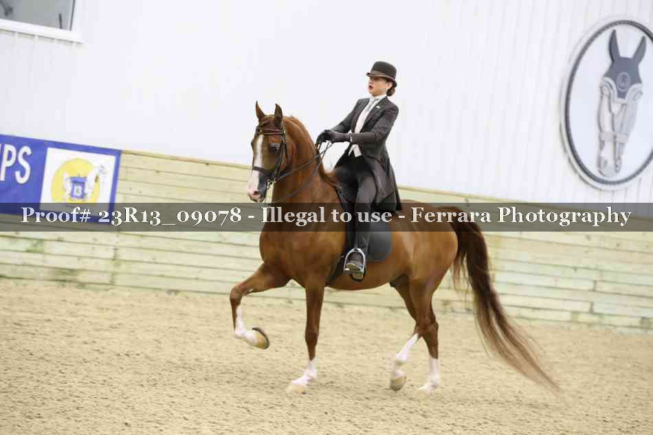 Proof 23R13_09078