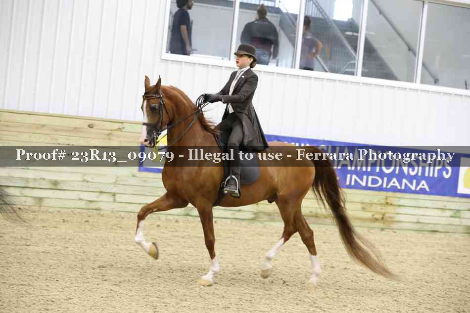 Proof 23R13_09079