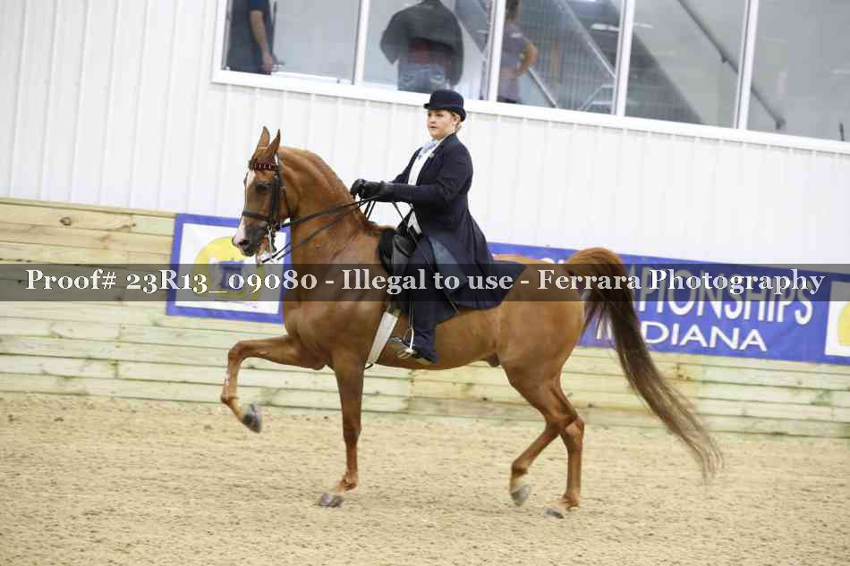 Proof 23R13_09080