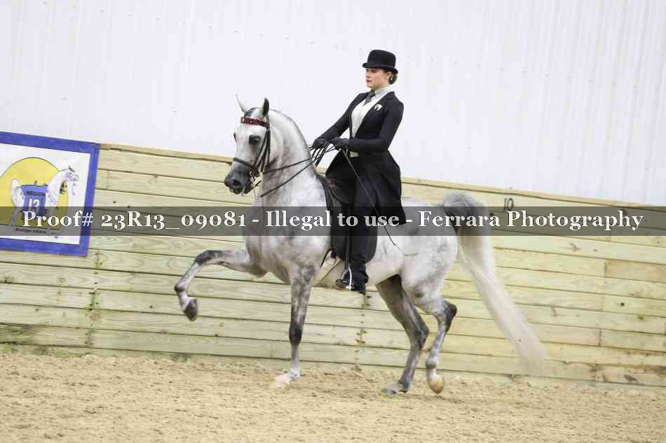 Proof 23R13_09081