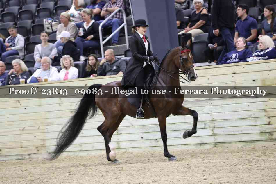 Proof 23R13_09083