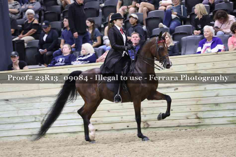 Proof 23R13_09084