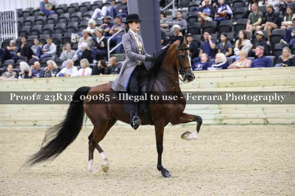 Proof 23R13_09085