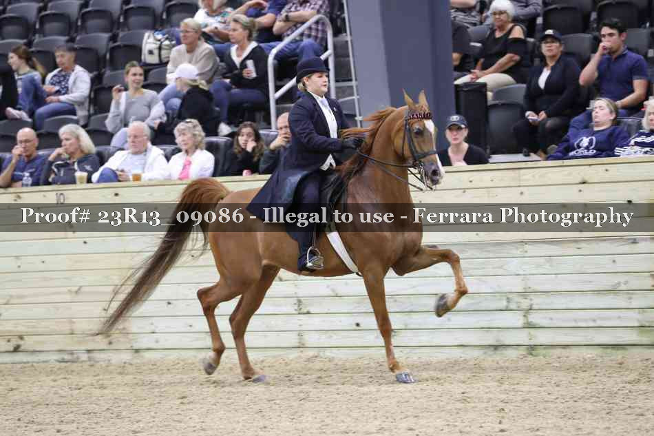 Proof 23R13_09086
