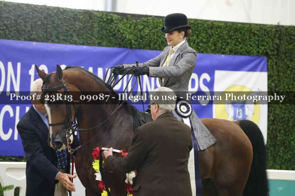 Proof 23R13_09087