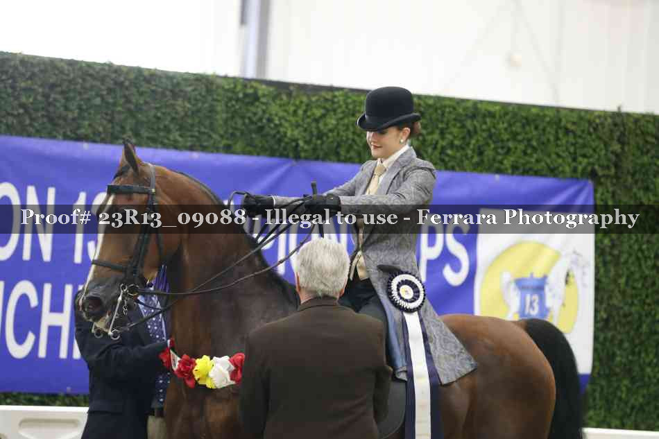 Proof 23R13_09088