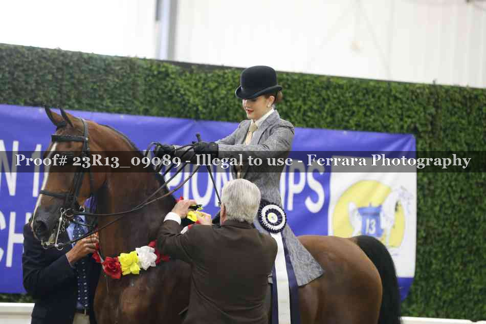 Proof 23R13_09089