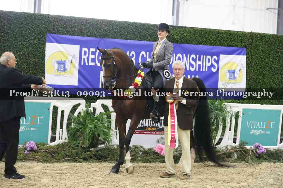 Proof 23R13_09093