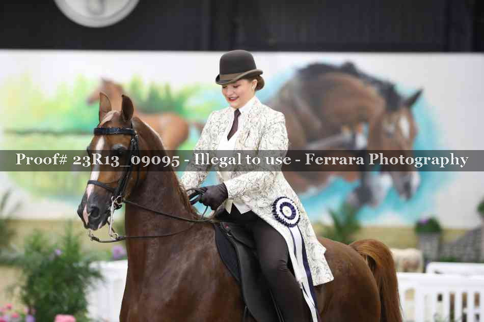 Proof 23R13_09095