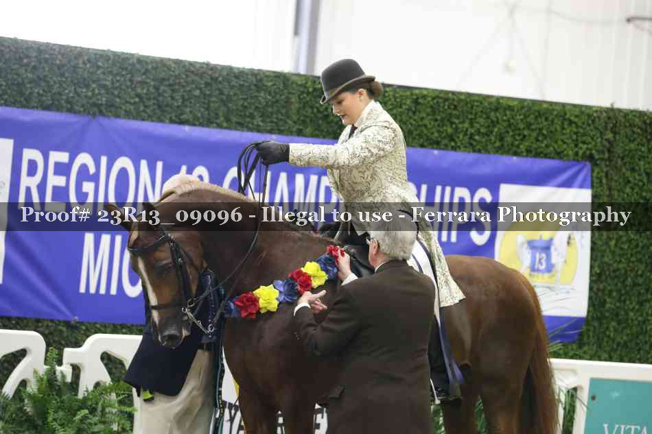 Proof 23R13_09096