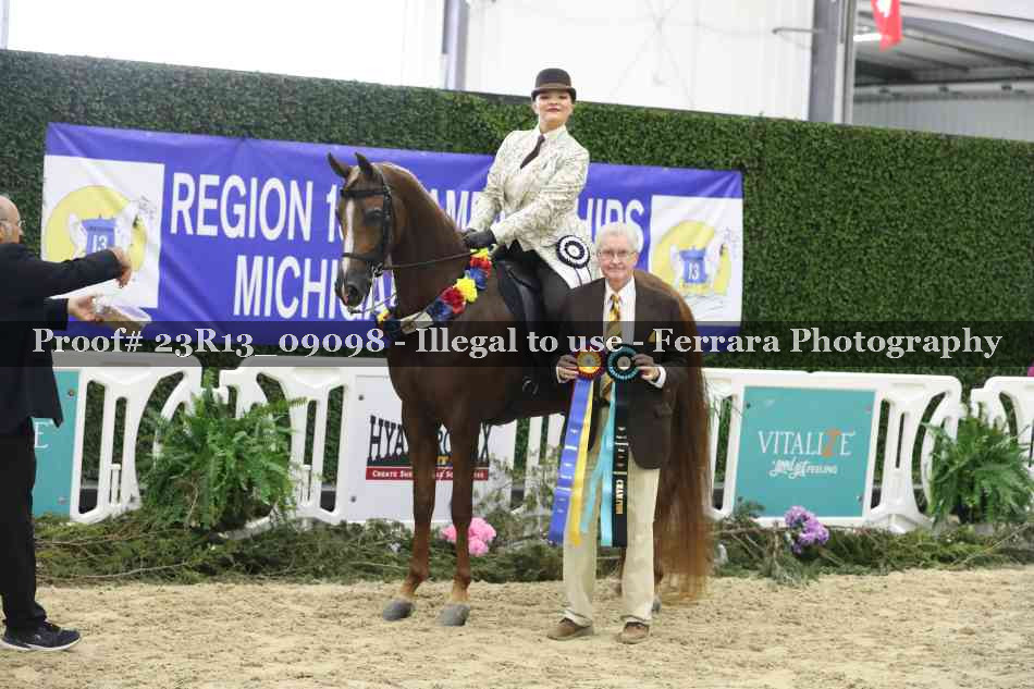 Proof 23R13_09098