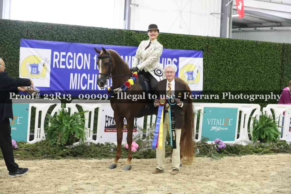 Proof 23R13_09099