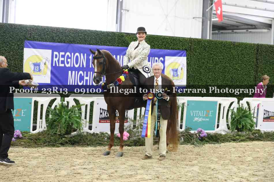 Proof 23R13_09100