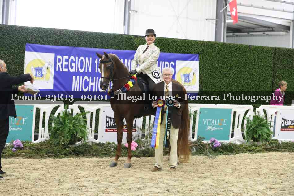 Proof 23R13_09101