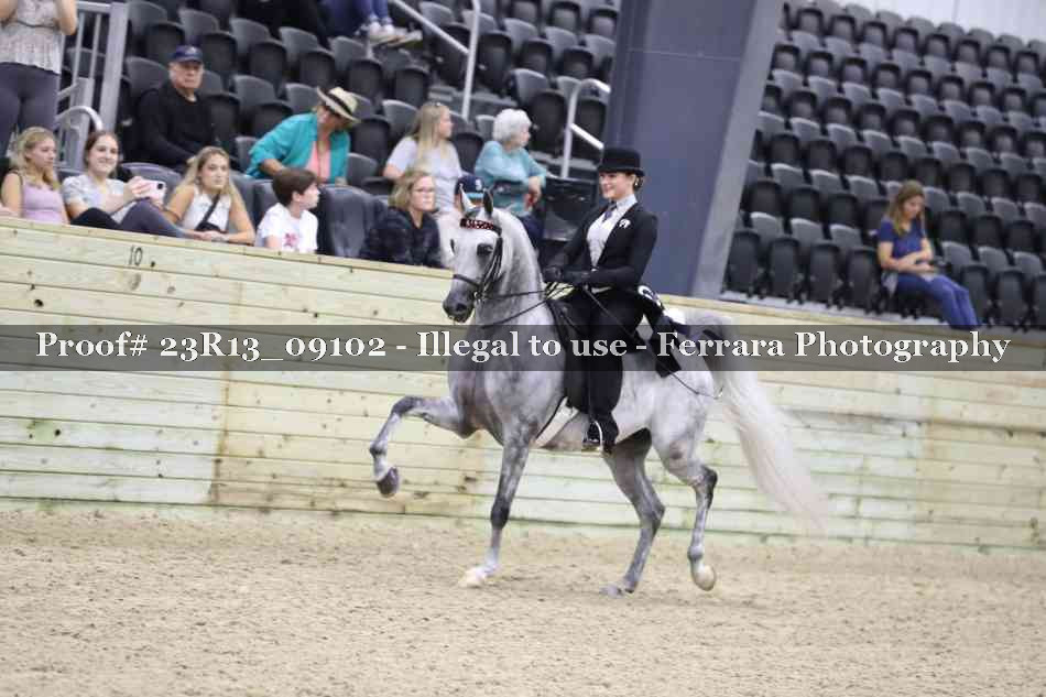 Proof 23R13_09102