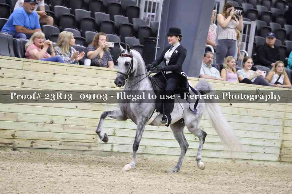 Proof 23R13_09103
