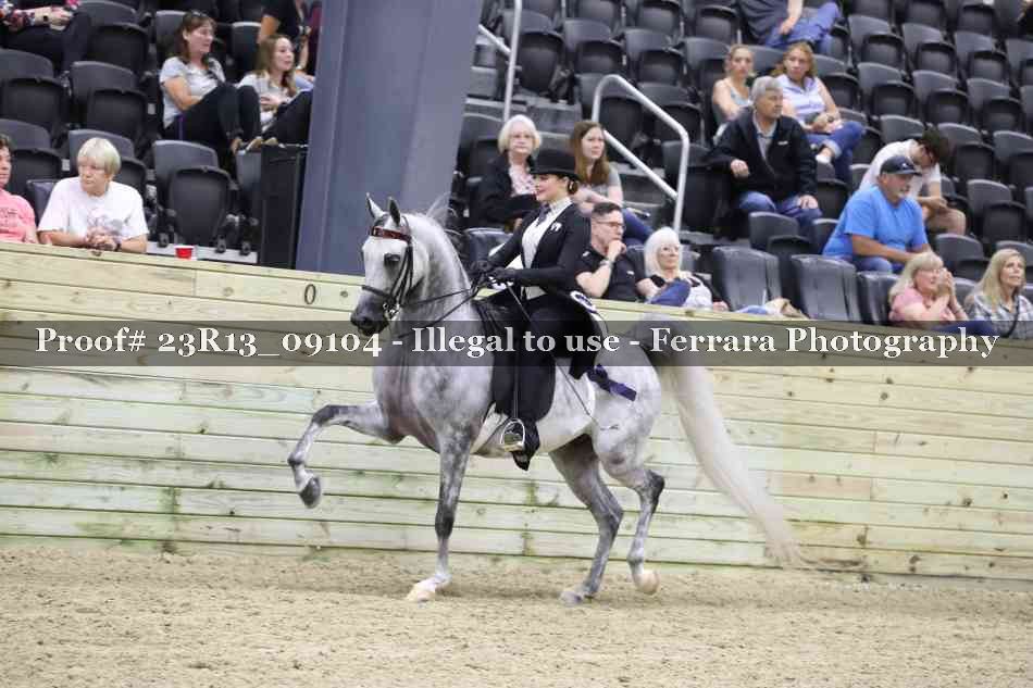 Proof 23R13_09104