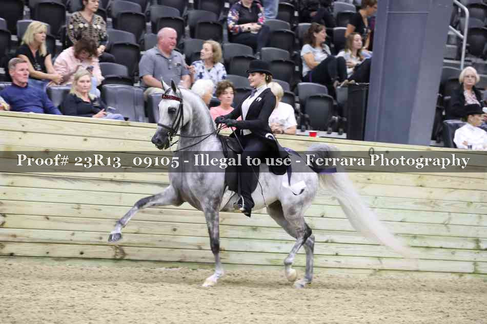 Proof 23R13_09105