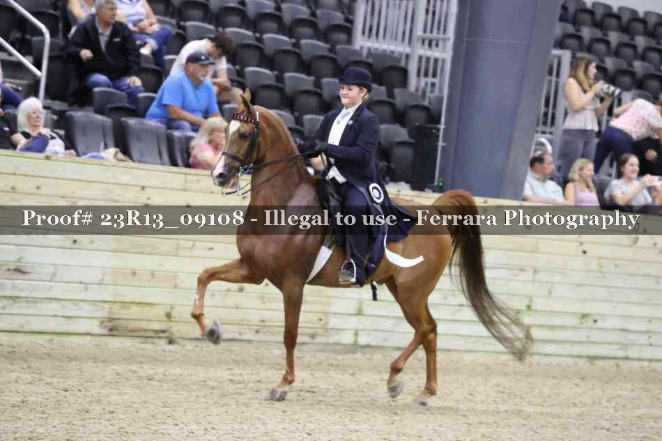 Proof 23R13_09108