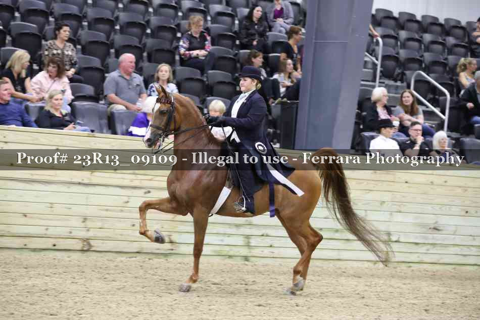Proof 23R13_09109