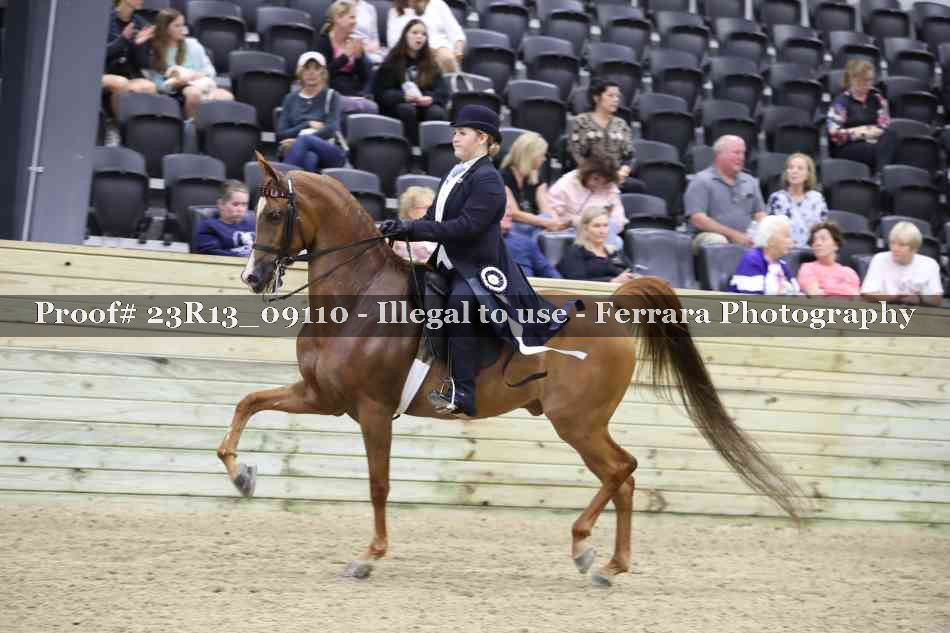 Proof 23R13_09110