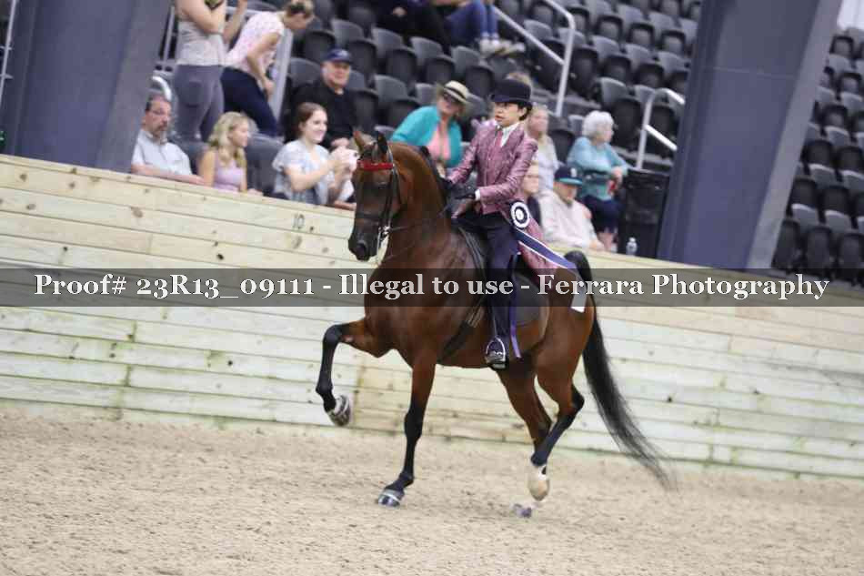 Proof 23R13_09111