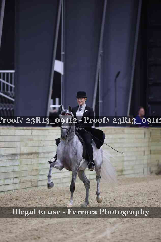 Proof 23R13_09112
