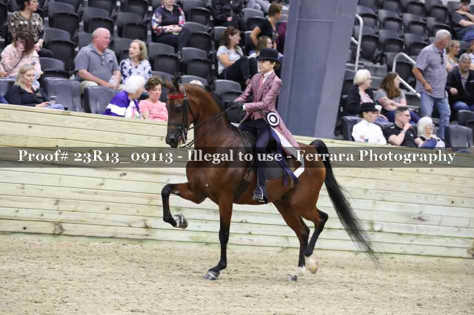Proof 23R13_09113