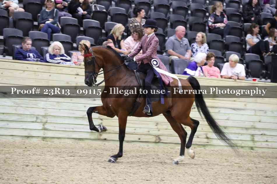 Proof 23R13_09115