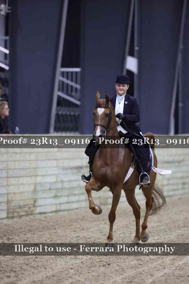 Proof 23R13_09116