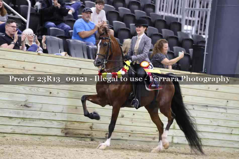 Proof 23R13_09121