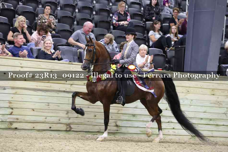 Proof 23R13_09122