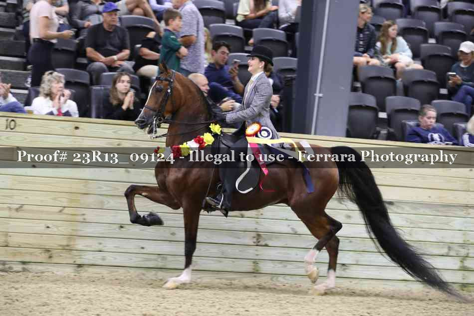 Proof 23R13_09124