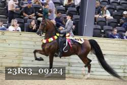 23R13_09124 proof
