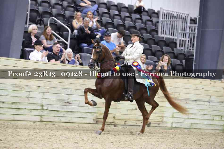 Proof 23R13_09128