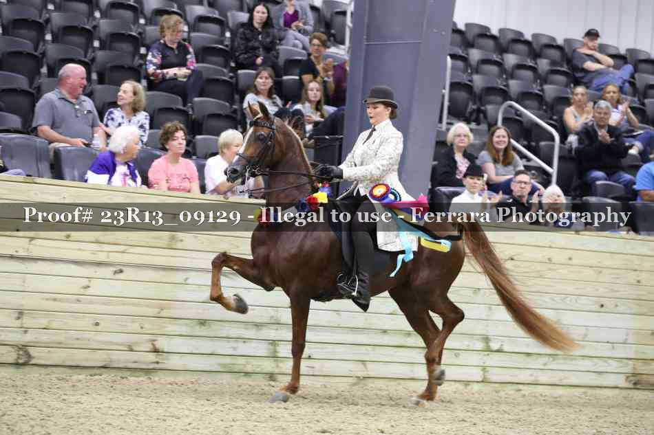 Proof 23R13_09129