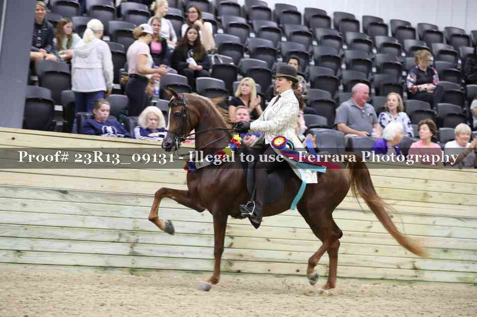 Proof 23R13_09131