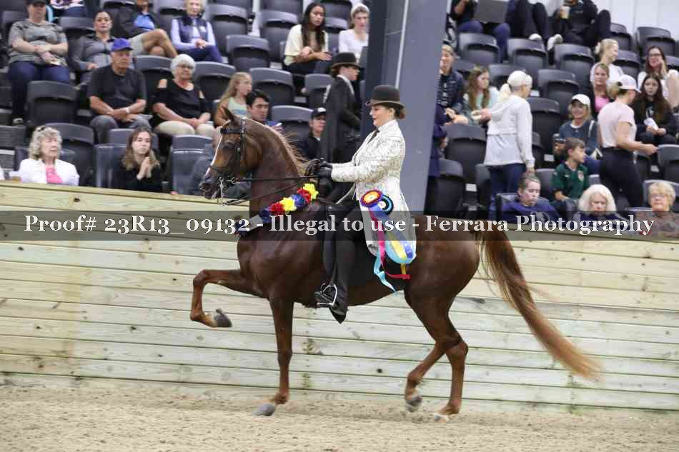 Proof 23R13_09132