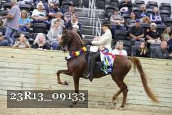 23R13_09133 proof