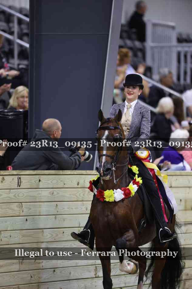 Proof 23R13_09135